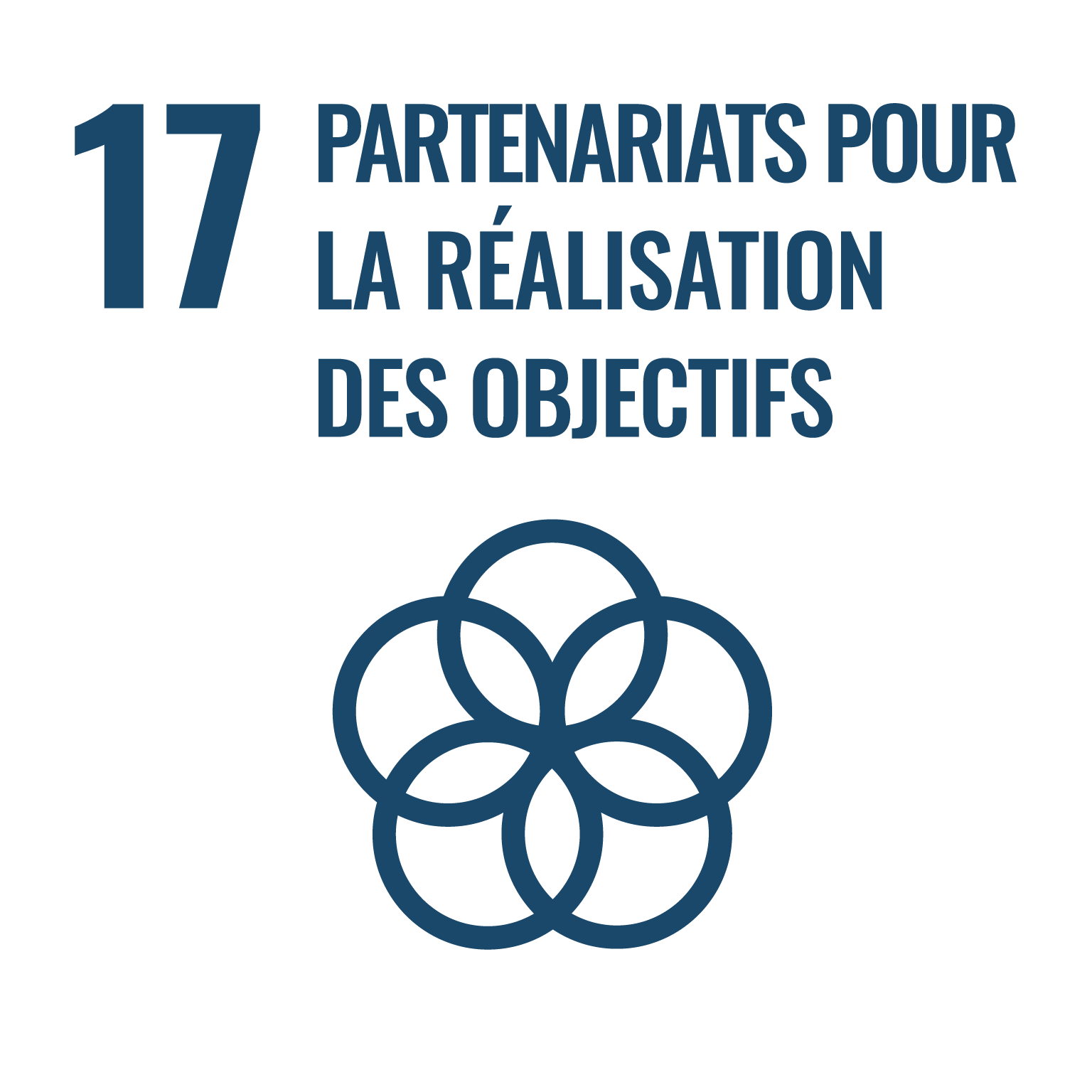 ODD 17 - partenariats - ONU