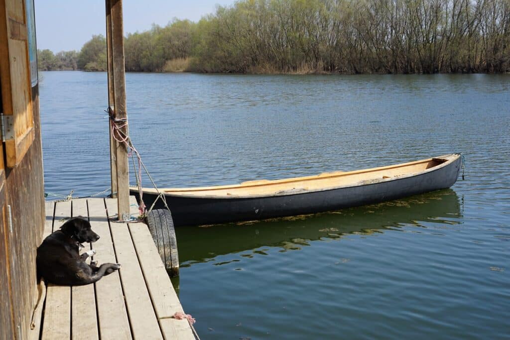 InovaYa, entreprise traitement de l'eau, gestion de l'eau, REUT